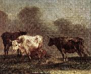POTTER, Paulus Cows in a Meadow af oil painting reproduction